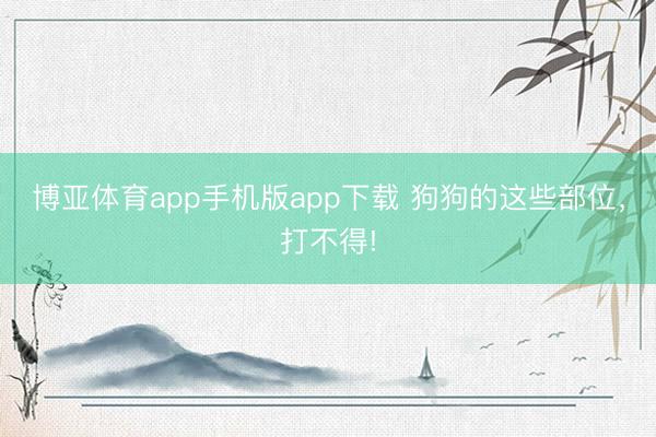 博亚体育app手机版app下载 狗狗的这些部位，打不得!