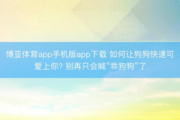 博亚体育app手机版app下载 如何让狗狗快速可爱上你? 别再只会喊“乖狗狗”了