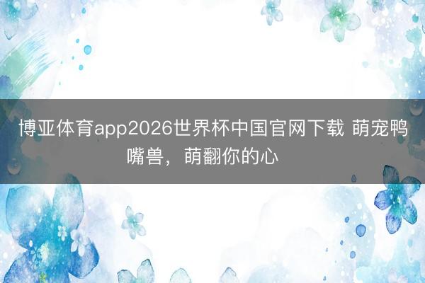 博亚体育app2026世界杯中国官网下载 萌宠鸭嘴兽,萌翻你的心❤️