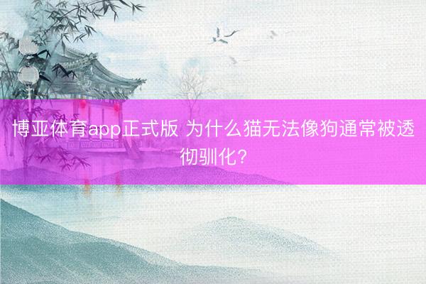 博亚体育app正式版 为什么猫无法像狗通常被透彻驯化?